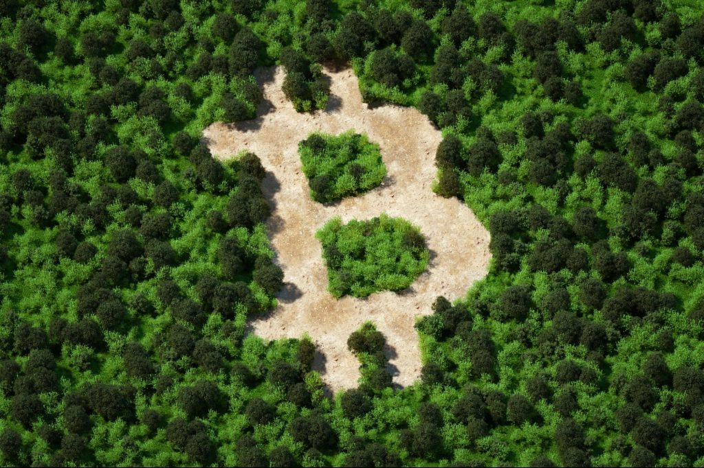 Can Crypto Go Green? Examining the Sustainable Implications of Cryptocurrencies