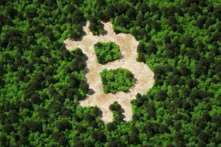 Can Crypto Go Green? Examining the Sustainable Implications of Cryptocurrencies