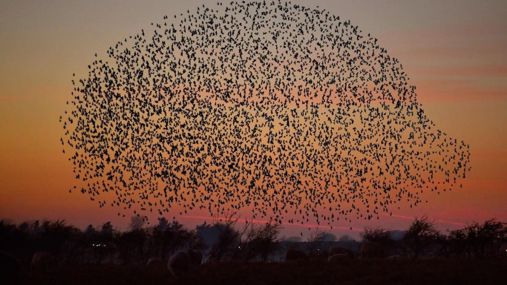 How To Use AI In Service Of Life: 3 Practices For Leaders