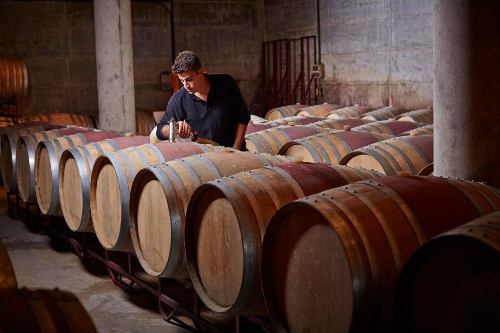 Five Lessons From The Business Of Fine Wine