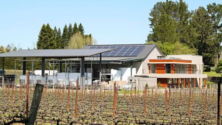 Why BLUE BIN Believes The Future Of The Wine Industry Rests On Bottles