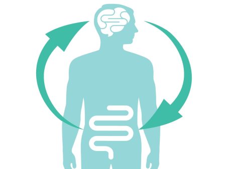 Brainiac Foods Contain Nutrients Believed To Support Brain Health
