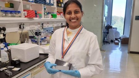 New Lab In Sri Lanka To Detect Endangered Sharks In Fish Markets