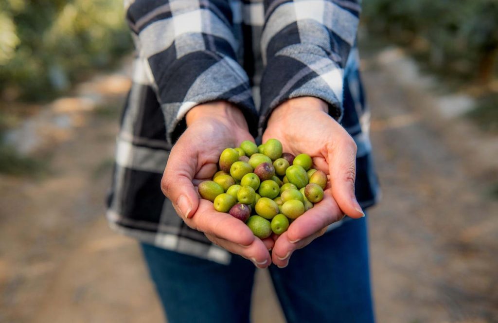 Nurturing A Legacy Of Quality, Sustainability, & Wellness