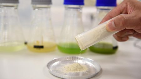 Following USDA Approval Of Cultured Meat For Human Consumption, Race Is On To Manufacture Product At Scale