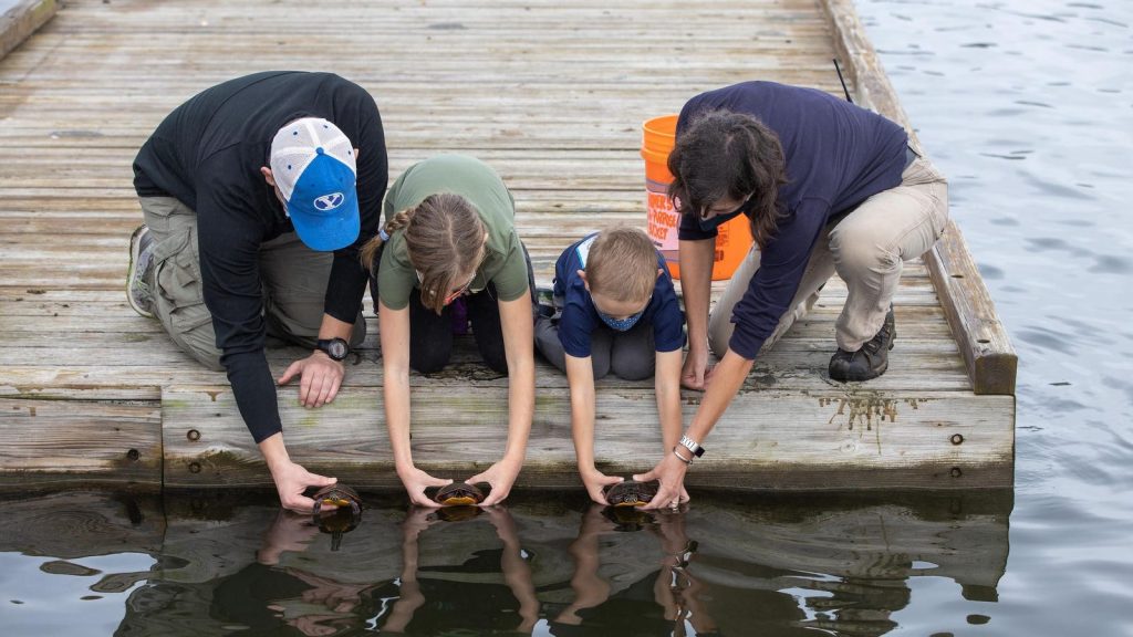 Sustainability Expertise, Equity & Storytelling Drive Systemic Change