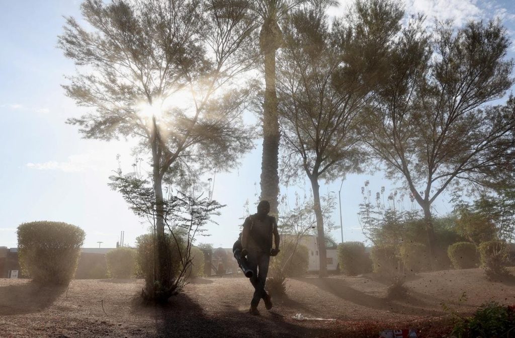 How Cities Are Finding Local Solutions To Issues Like Climate Change