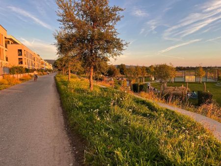 Passive Houses Grapple With Rising Temperatures