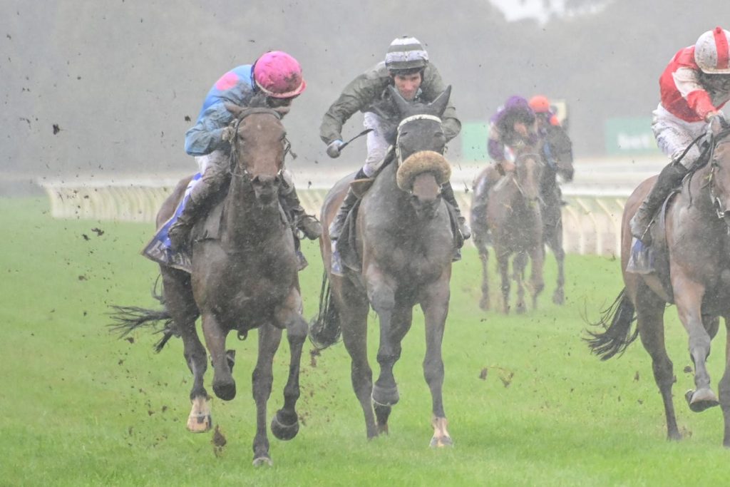 Unusual Industries That Use Weather Insights In Decision-Making